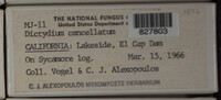 Image Associated With the Occurence